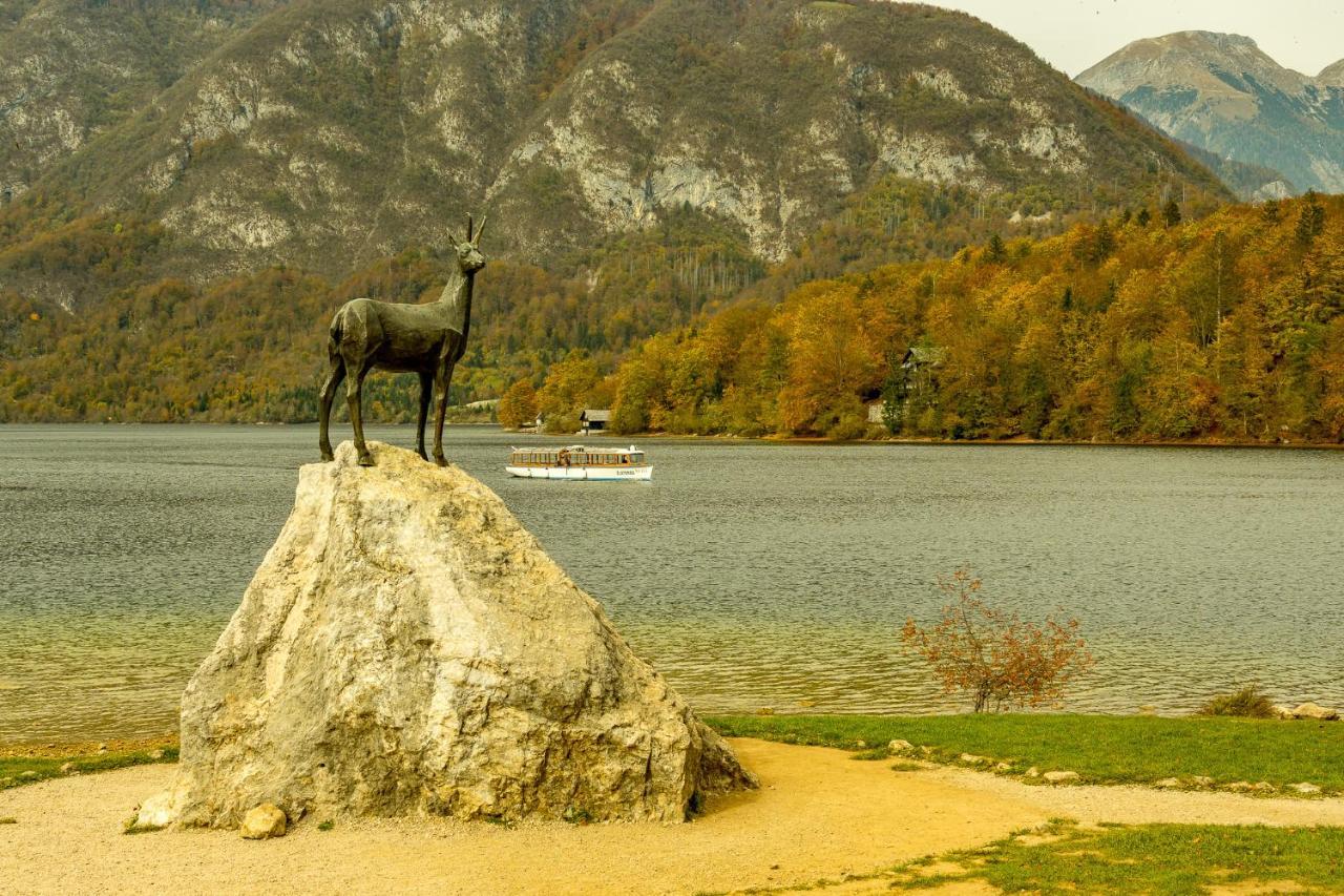 Sara Bohinj